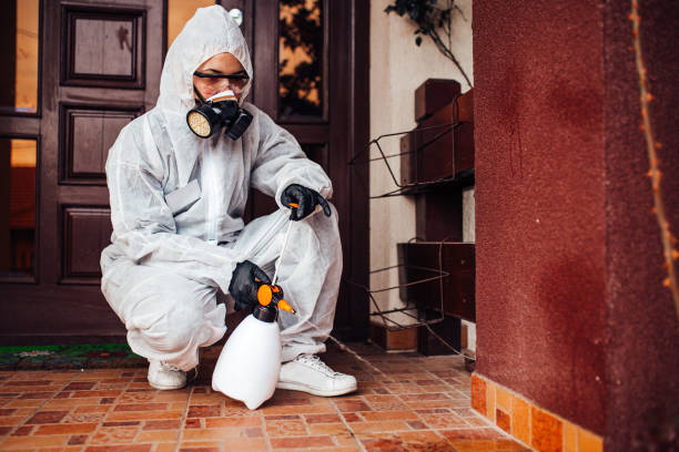 Reliable Ant Control contractor in Rio, VA by Show Me Pest Control